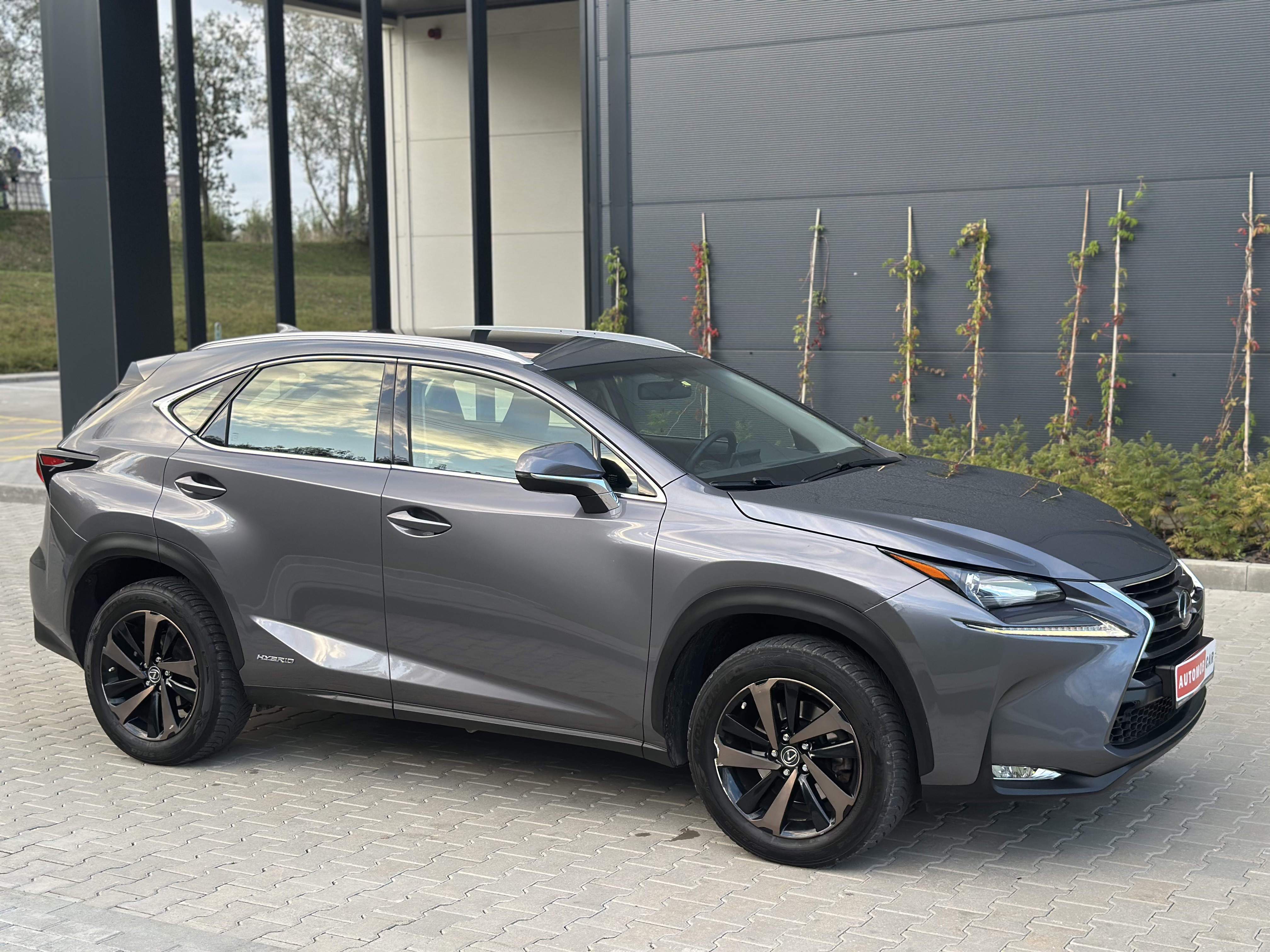 Lexus NX 300h