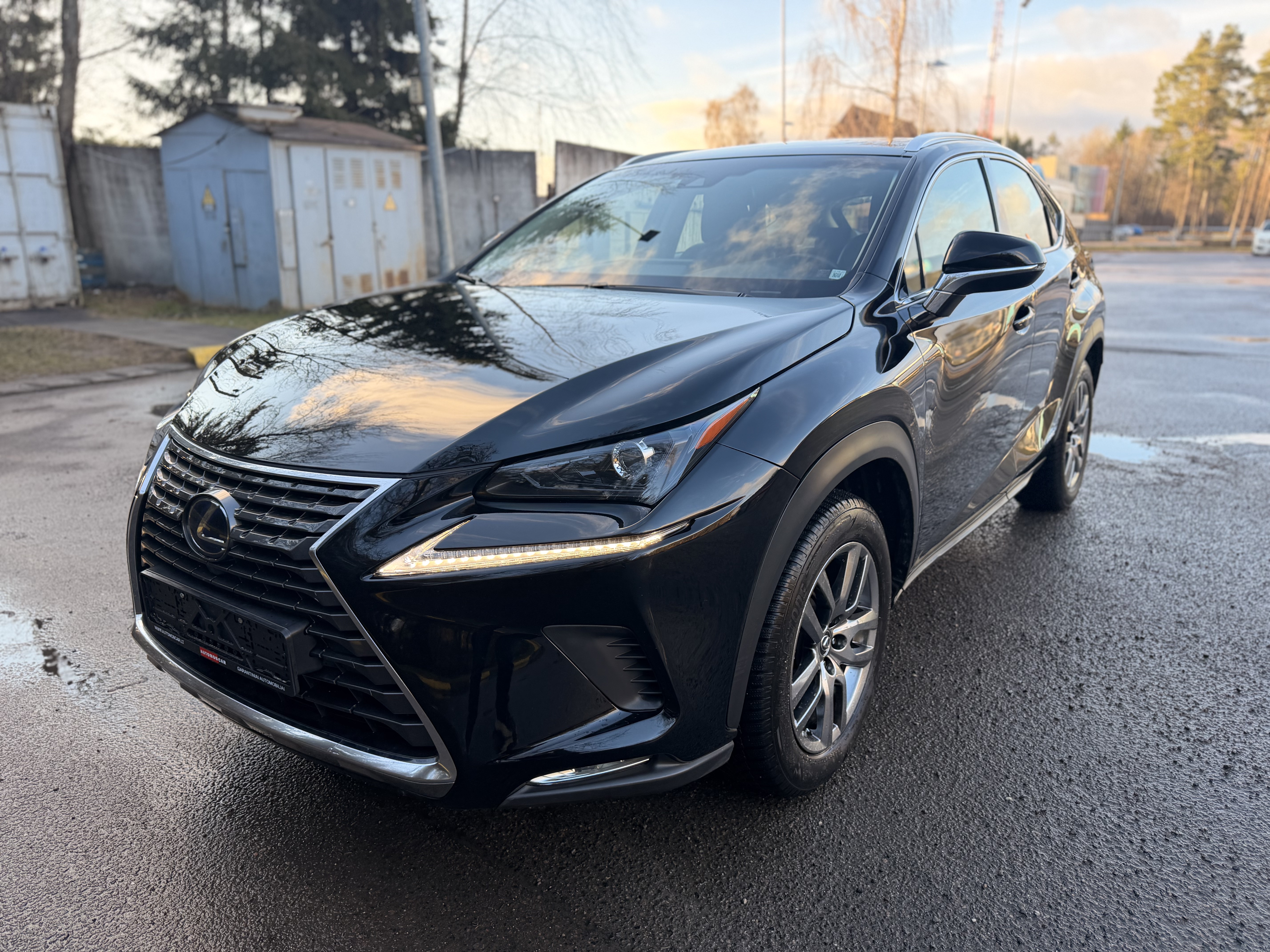 Lexus NX 300h