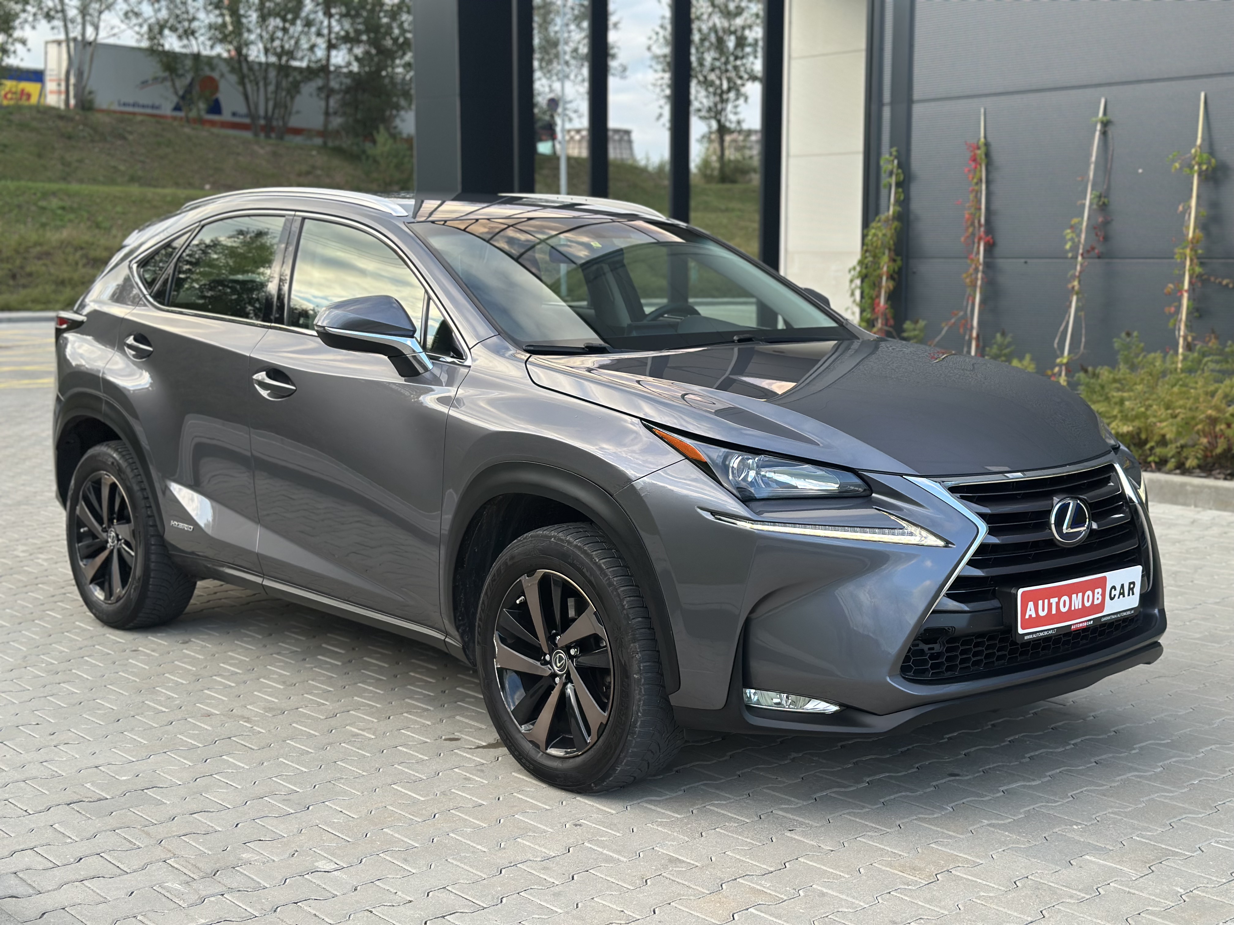 Lexus NX 300h