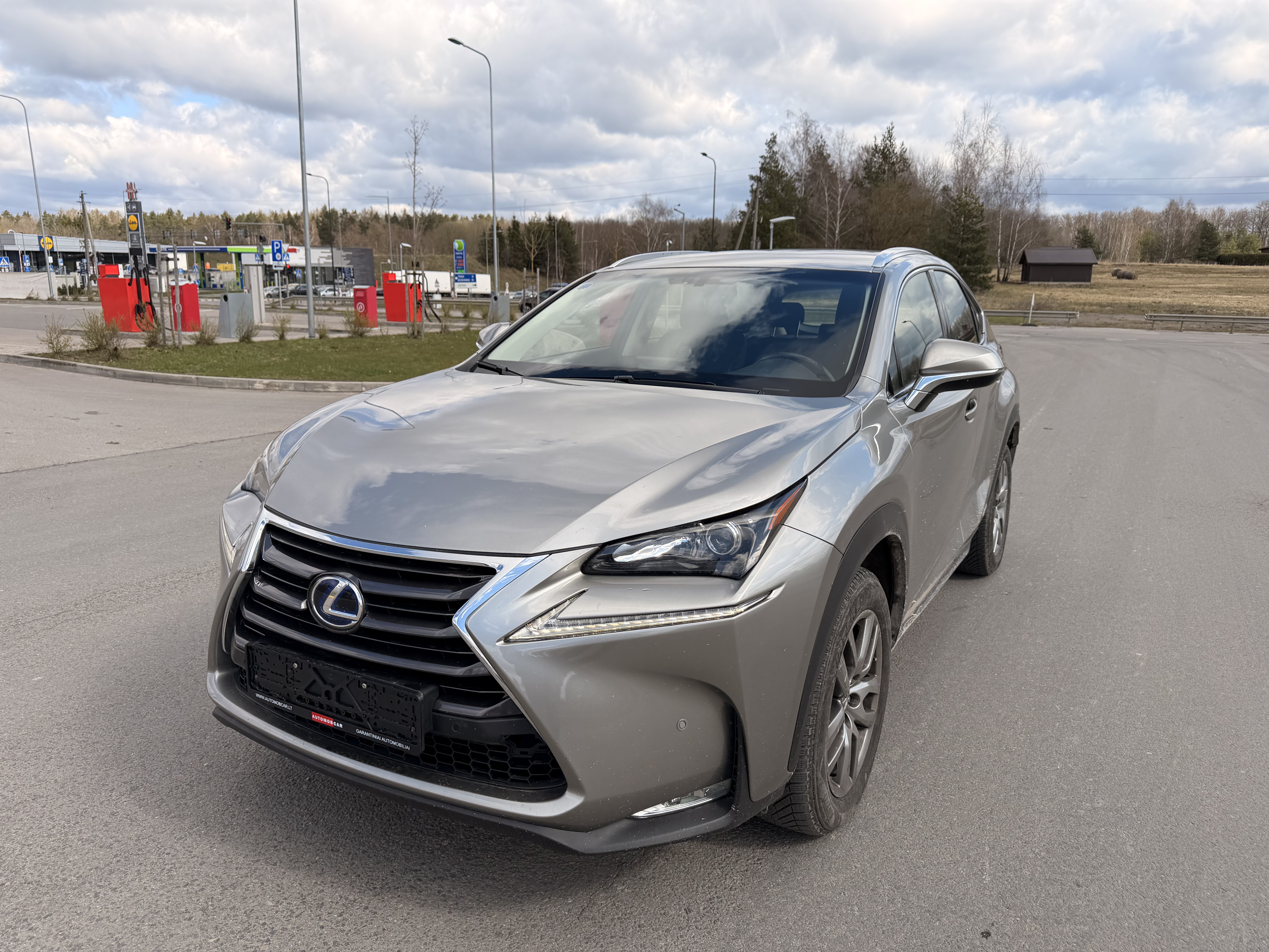 Lexus NX 300h