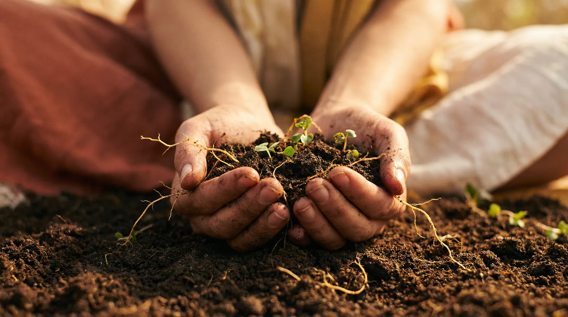 Groundwork — hands holding roots and soil