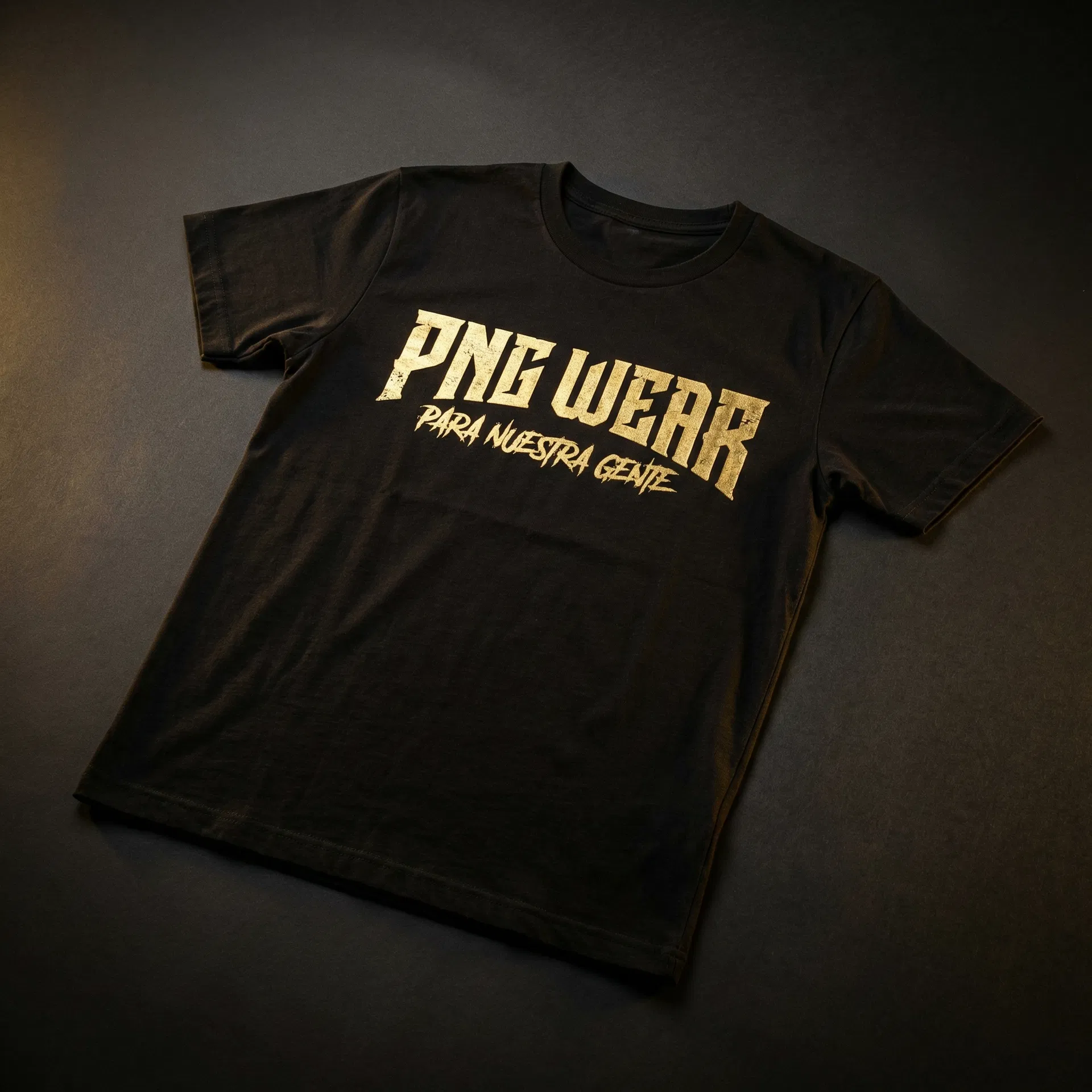 PNG Classic Logo Tee