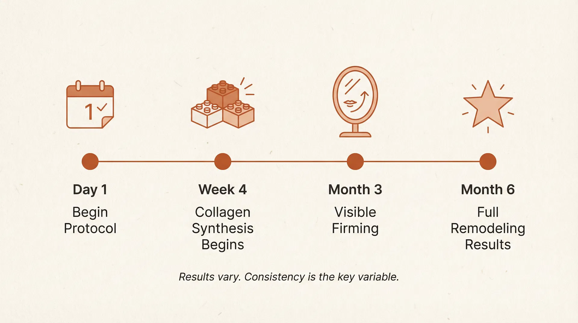 Timeline showing the skin remodeling journey from Day 1 through Month 6