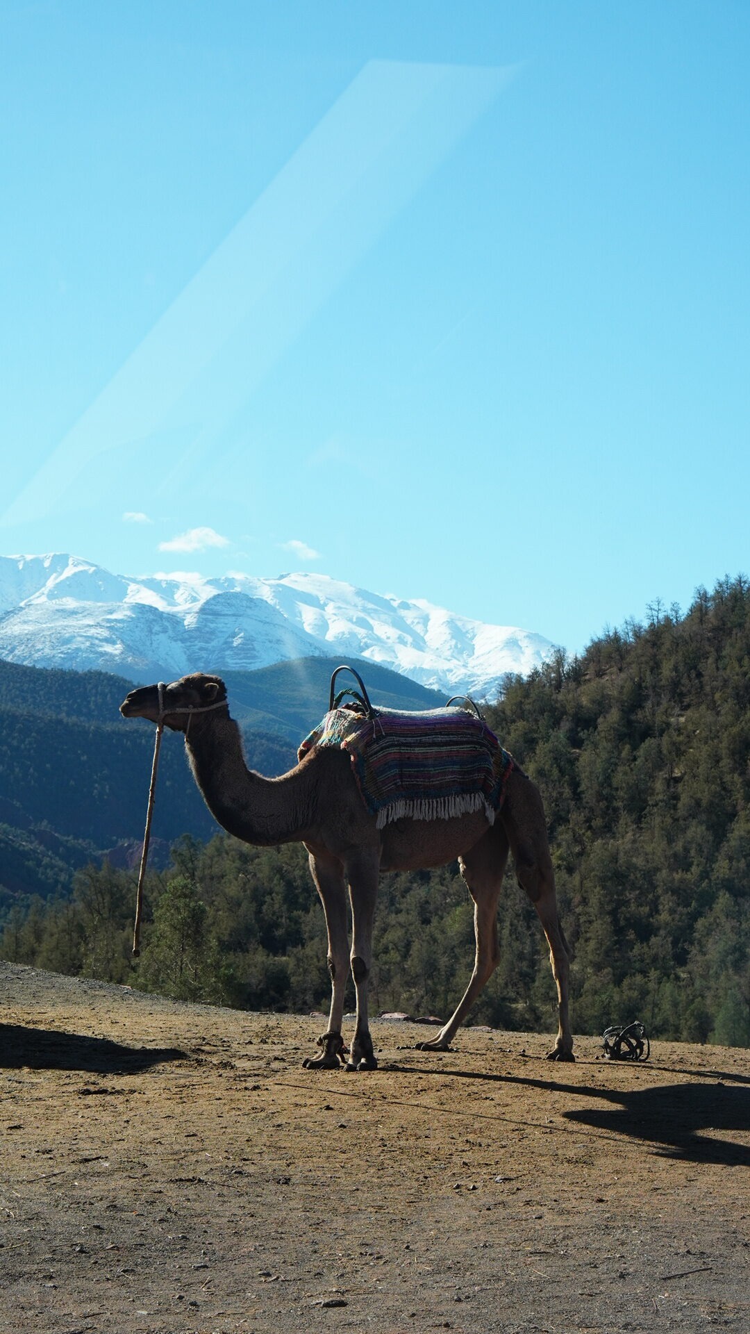 Marrakech retreat secondary gallery image 2