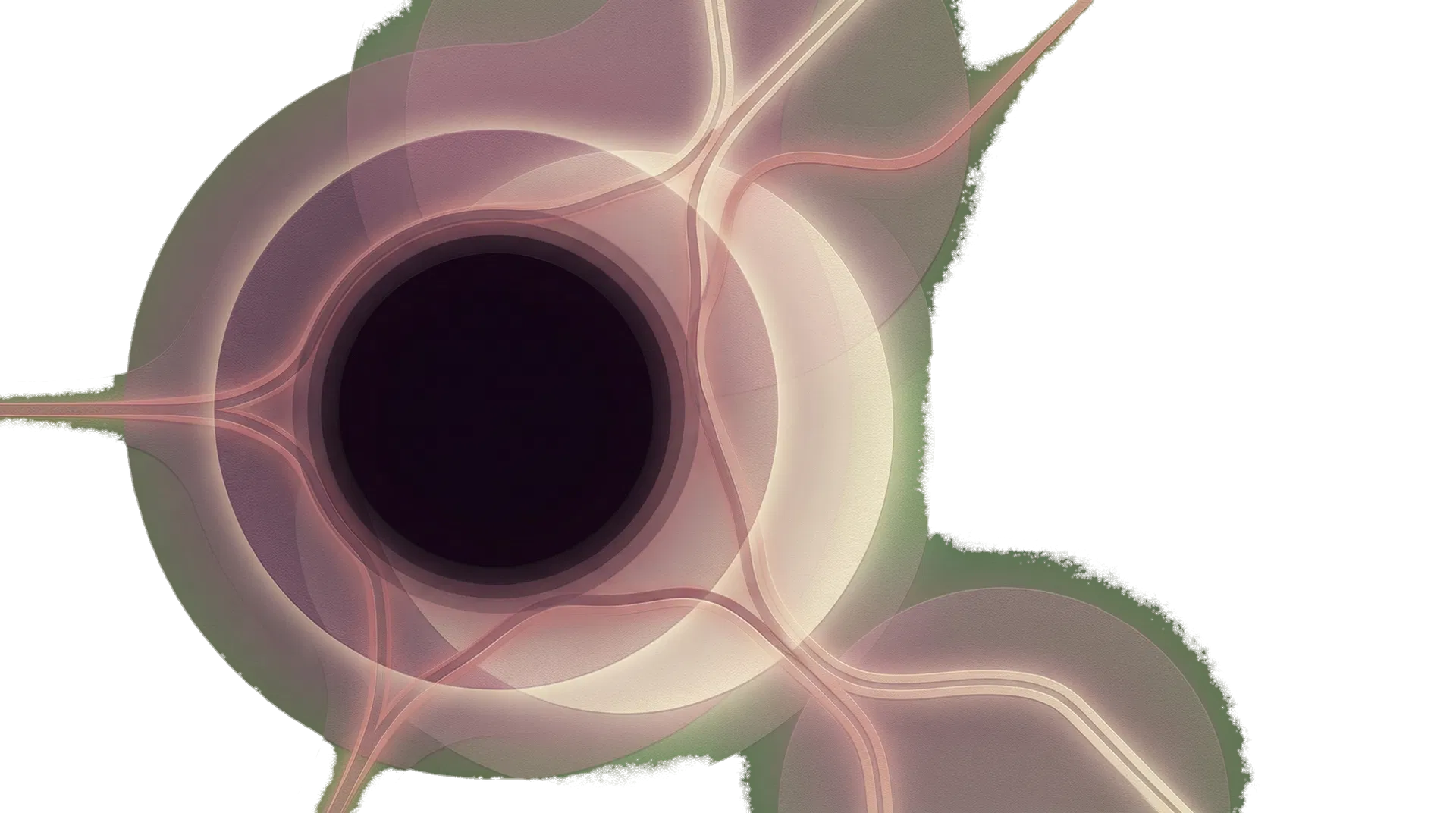 Abstract brand artwork representing identity, continuity, and growth