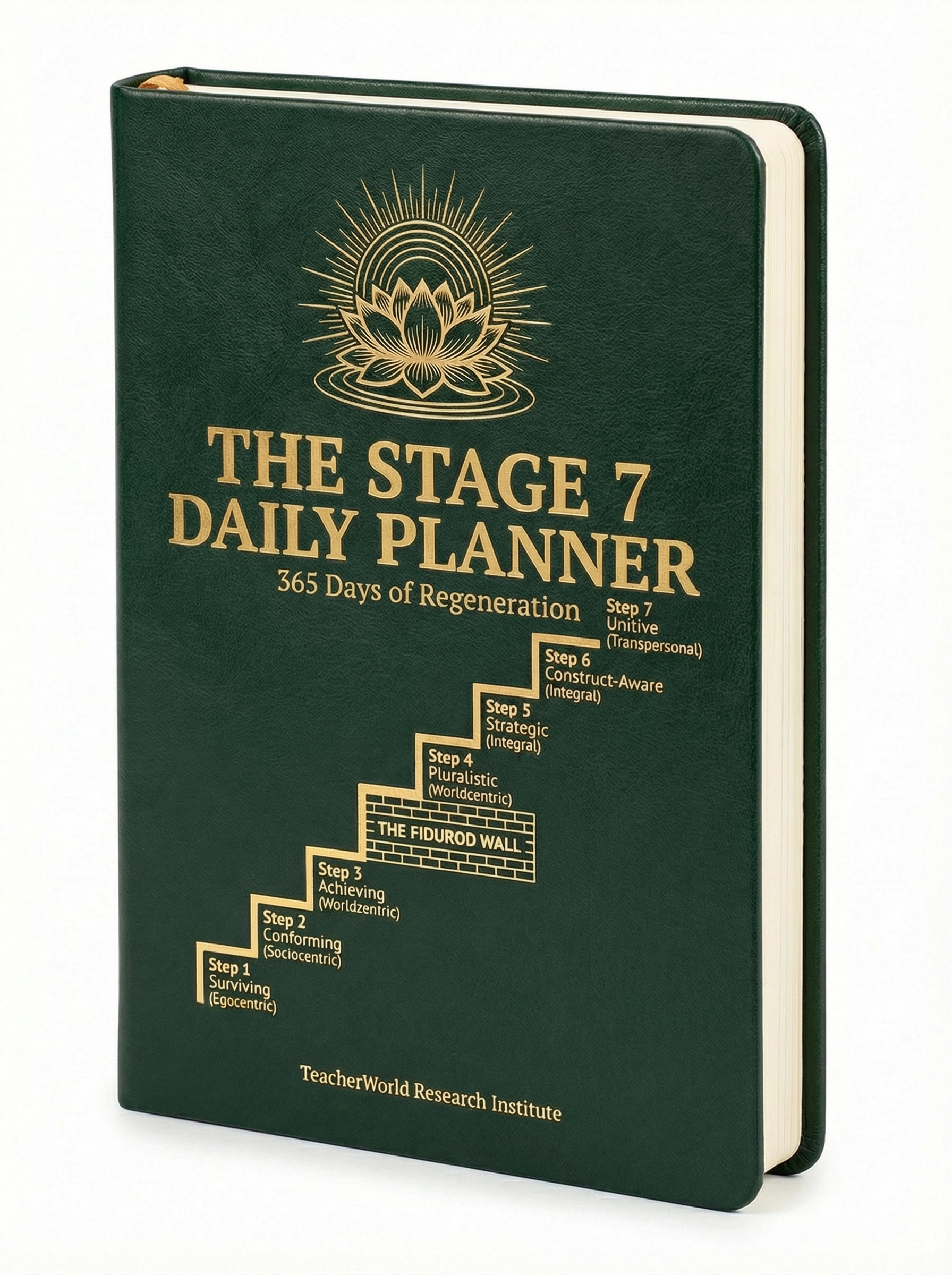 Stage 7 Daily Planner