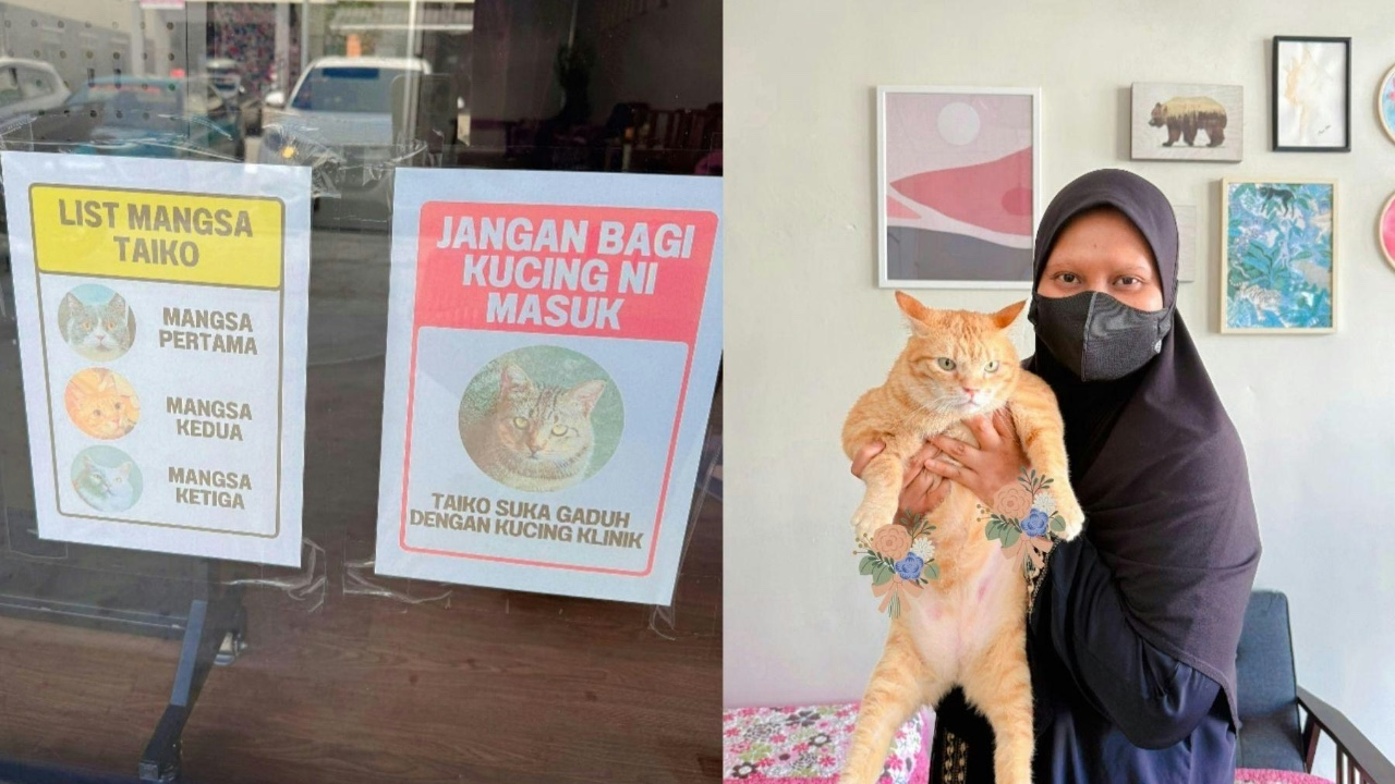 獸醫診所黑名單事件:流浪貓社區霸權與動物共融的深層挑戰!