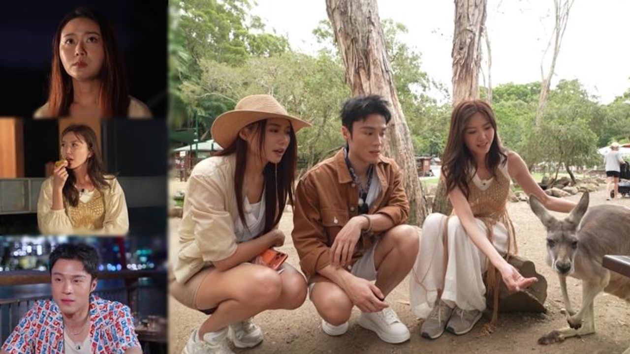 他們的澳洲駕期：戴祖儀與丁子朗如何引爆澳洲熱潮，節目話題性深度剖析