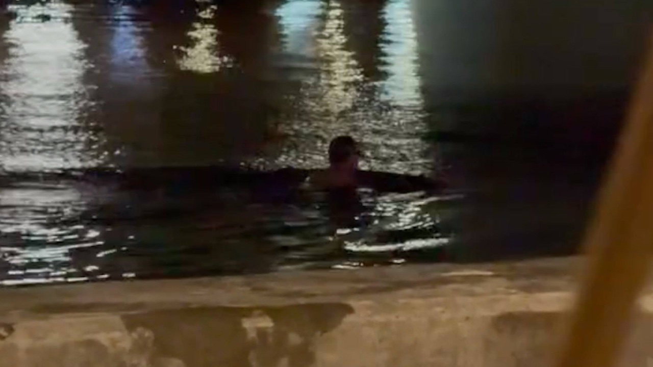 沙田城門河大叔夜泳影片瘋傳！網民封「水質測試員」：菌多過馬桶