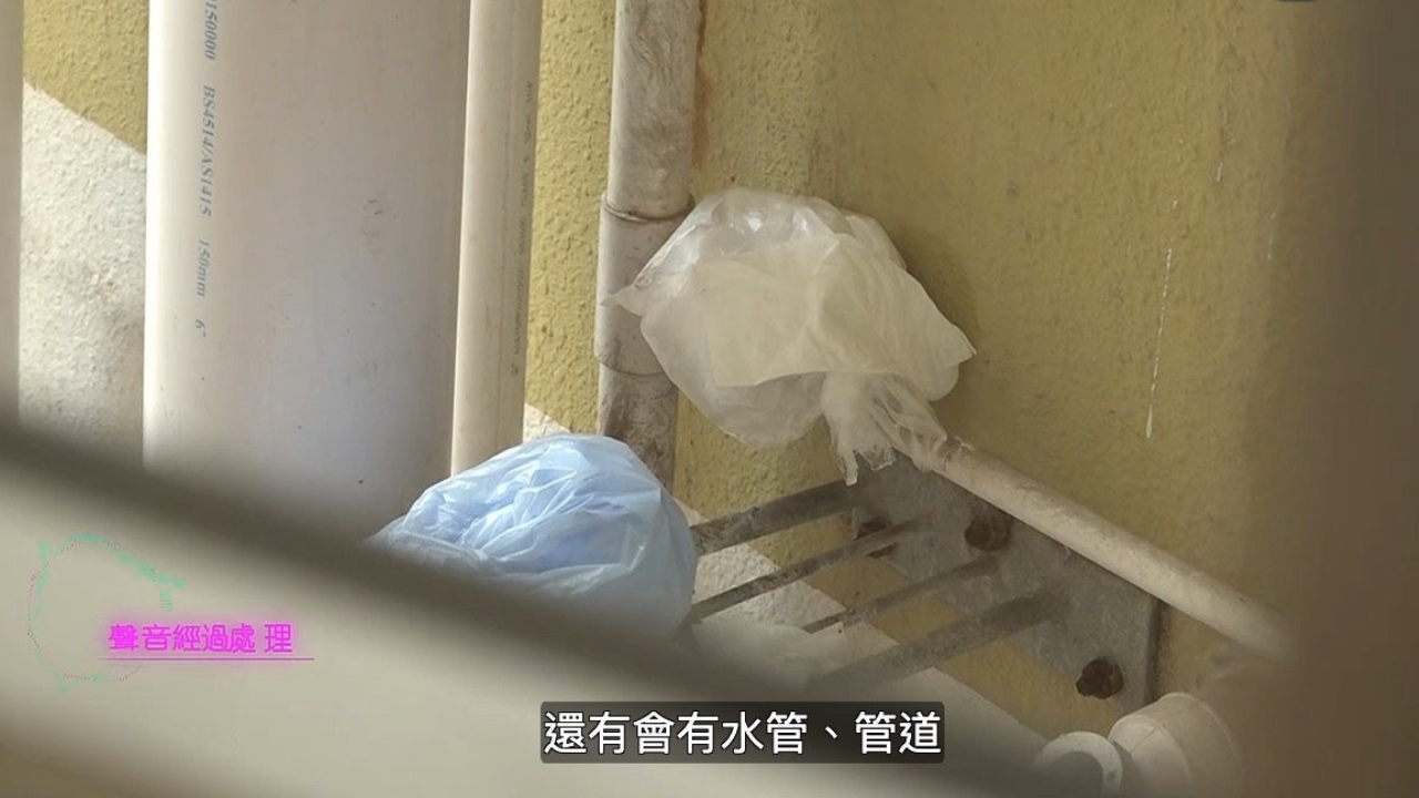 走廊「屎味飄香」?東張西望揭虎媽掟屎片惡行全層鄰居有苦難言