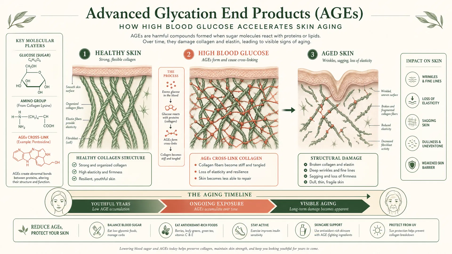 AGE Formation and Skin Aging