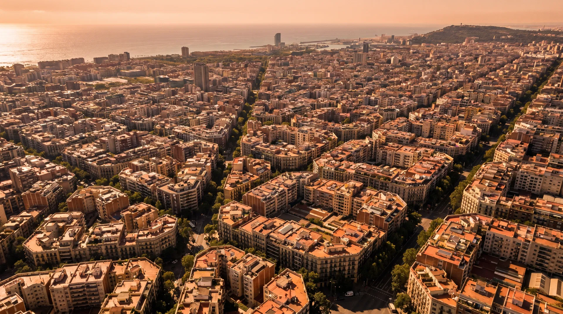 The NIE: Everything Foreign Buyers Need to Know