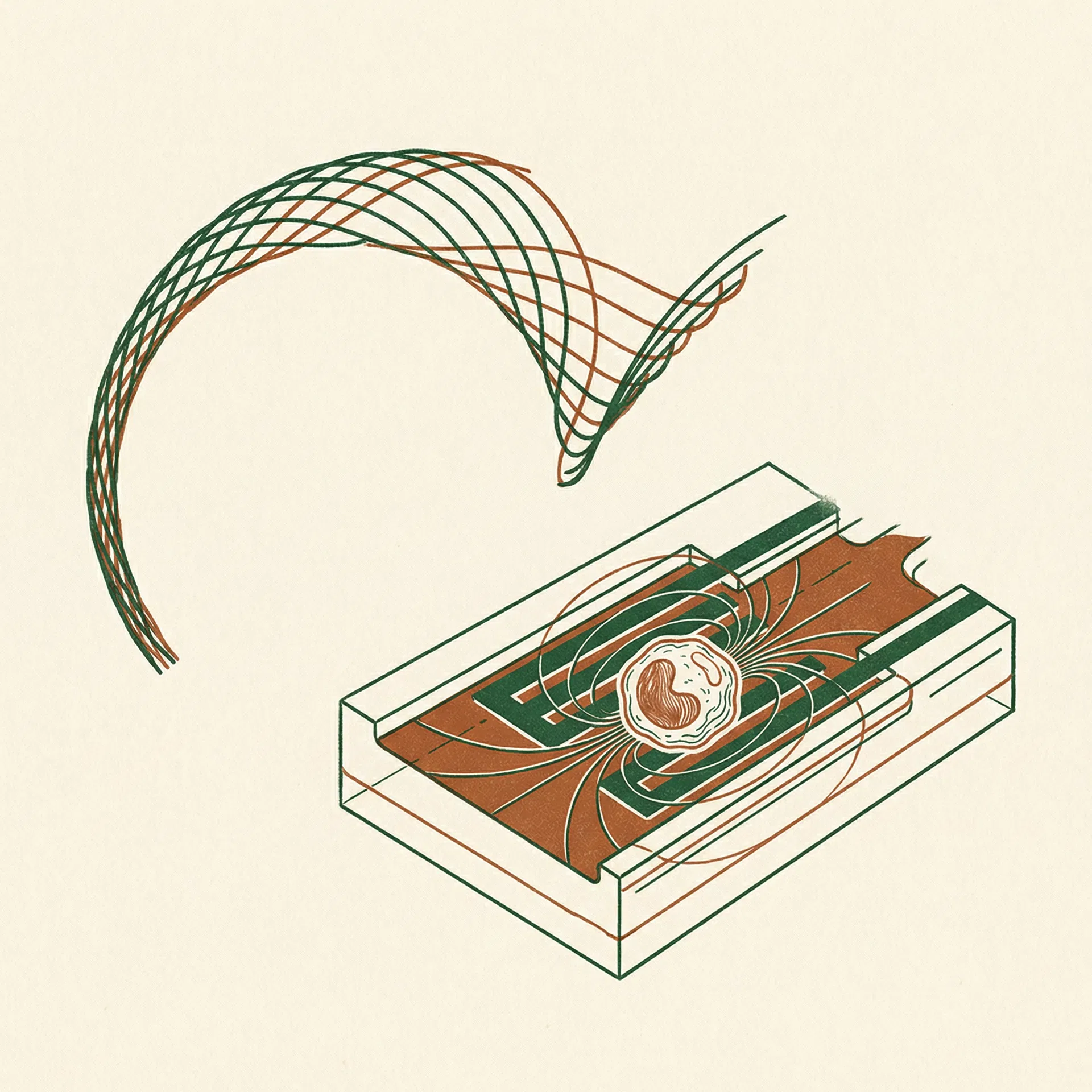 Electrochemical Impedance Spectroscopy