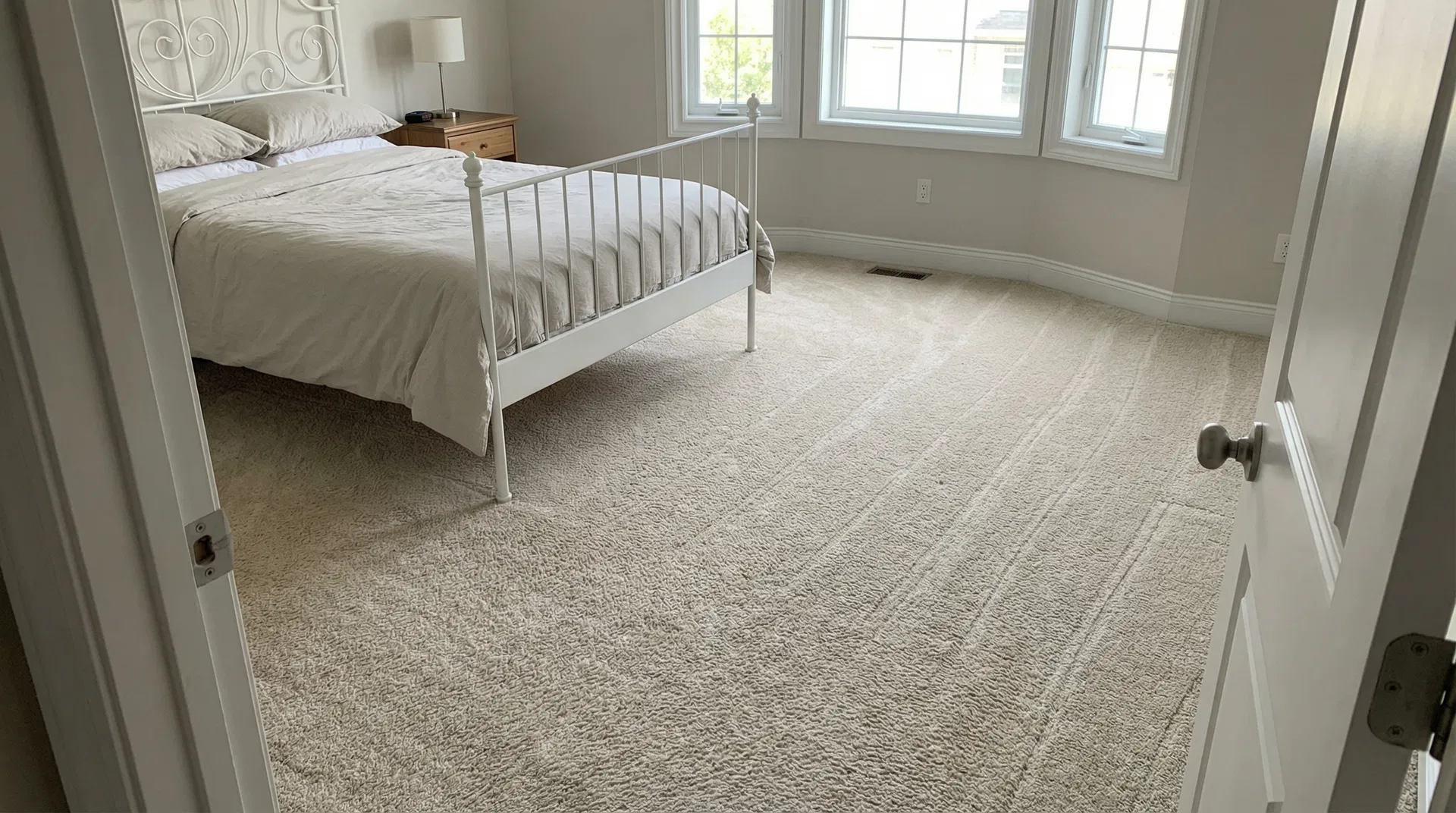 Carpet Cleaning - After