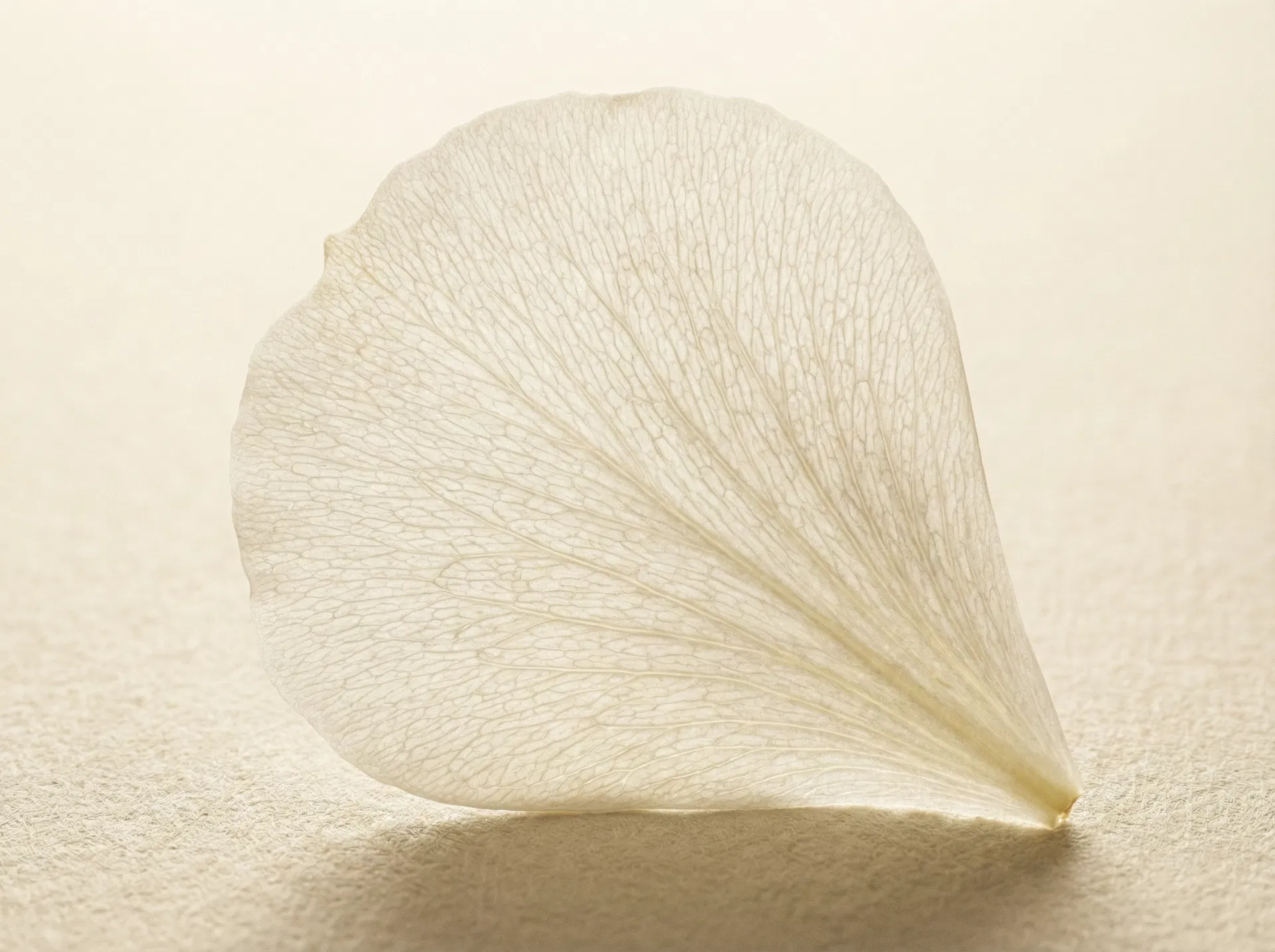 Marcadores Epigenéticos