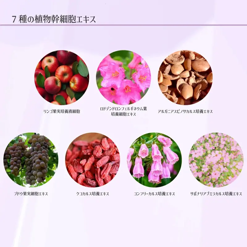 リニューアル版 クラッキングWエクソソーム 180ml セインムー 炭酸ガス美容液 ヒト乾燥細胞 乾燥植物幹細胞 エイジングケア たるみ 引きき締めめ ツヤ ハリ 潤いい