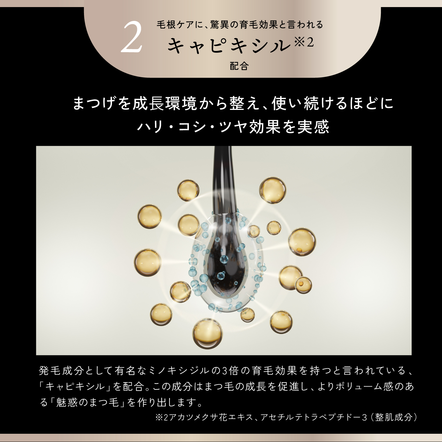KYOGOKU幹細胞培養液