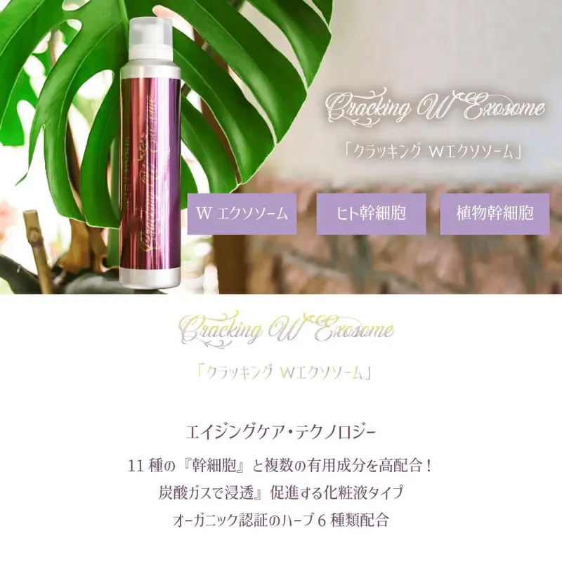 リニューアル版 クラッキングWエクソソーム 180ml セインムー 炭酸ガス美容液 ヒト乾燥細胞 乾燥植物幹細胞 エイジングケア たるみ 引きき締めめ ツヤ ハリ 潤いい