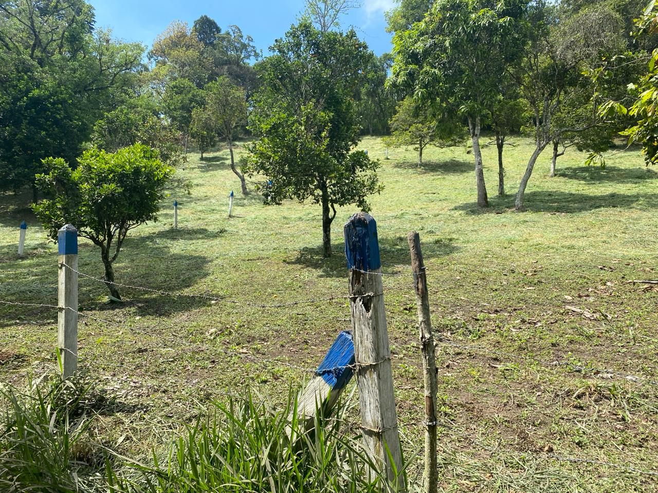 Lote de 3000 metros en San Francisco, Vereda San Miguel