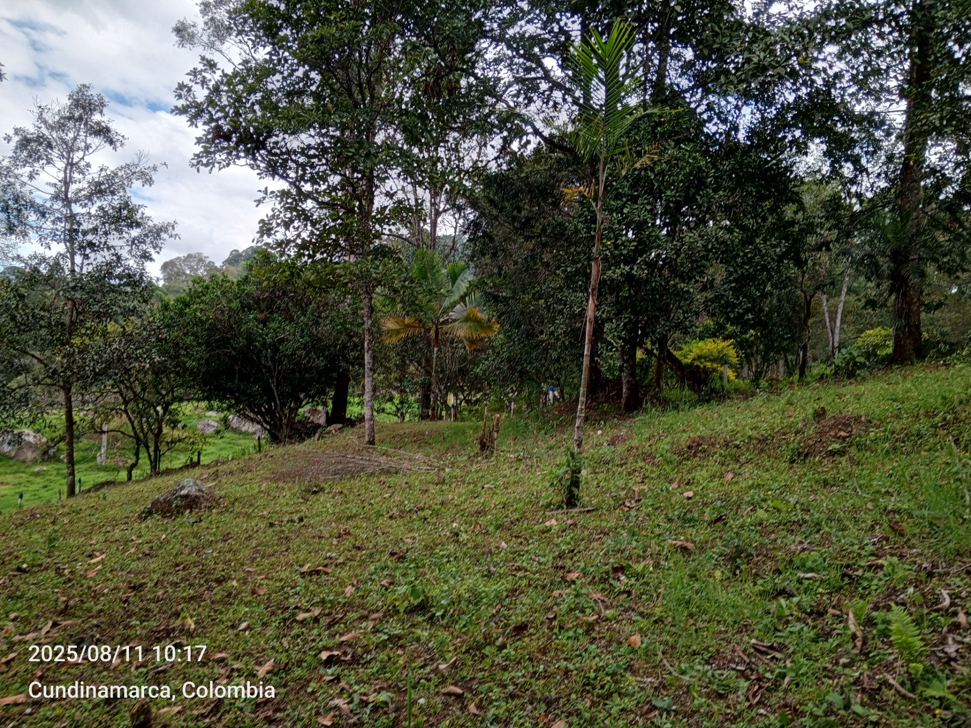 Lote en San Francisco, Cundinamarca