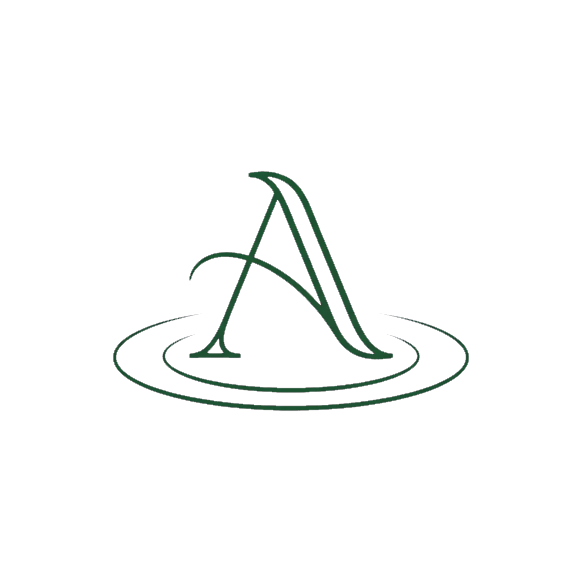 Anmei logo