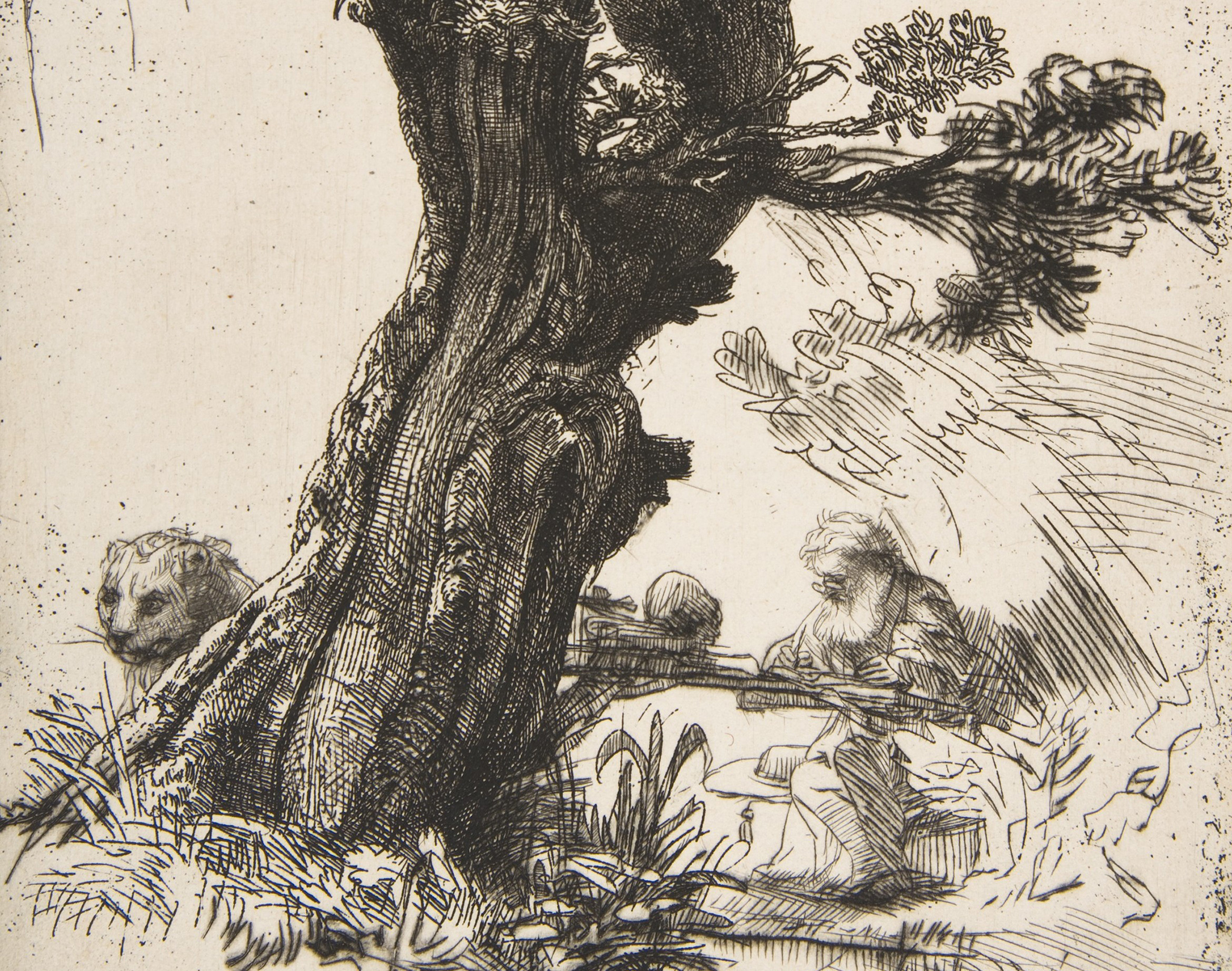 The Paradox of Freedom: Questions & No Answers