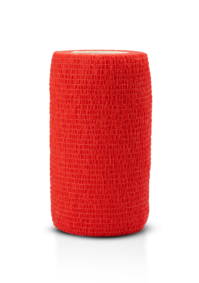 First Step Cohesive Bandage 10 cm