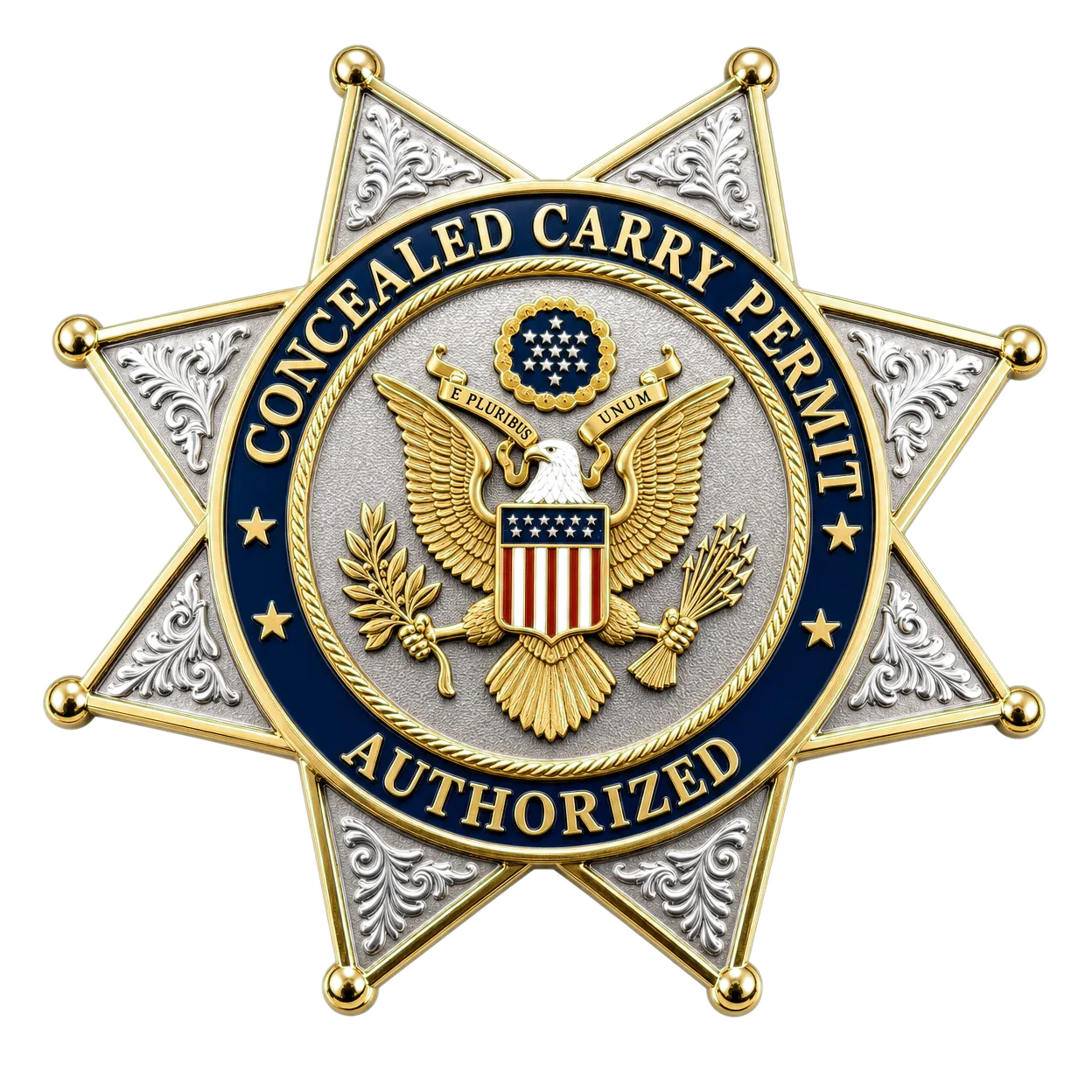 Concealed Carry Permit — Authorized