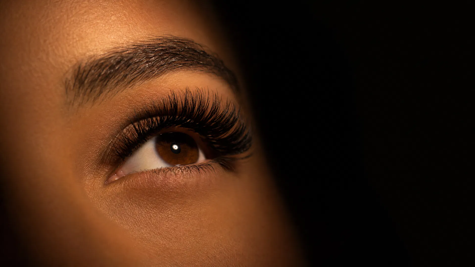 Dramatic lash close-up