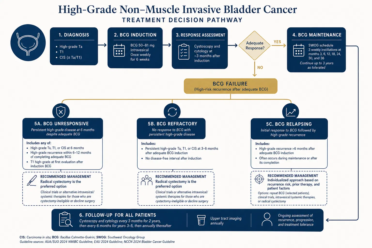 Treatment decision pathway flowchart for high-grade NMIBC