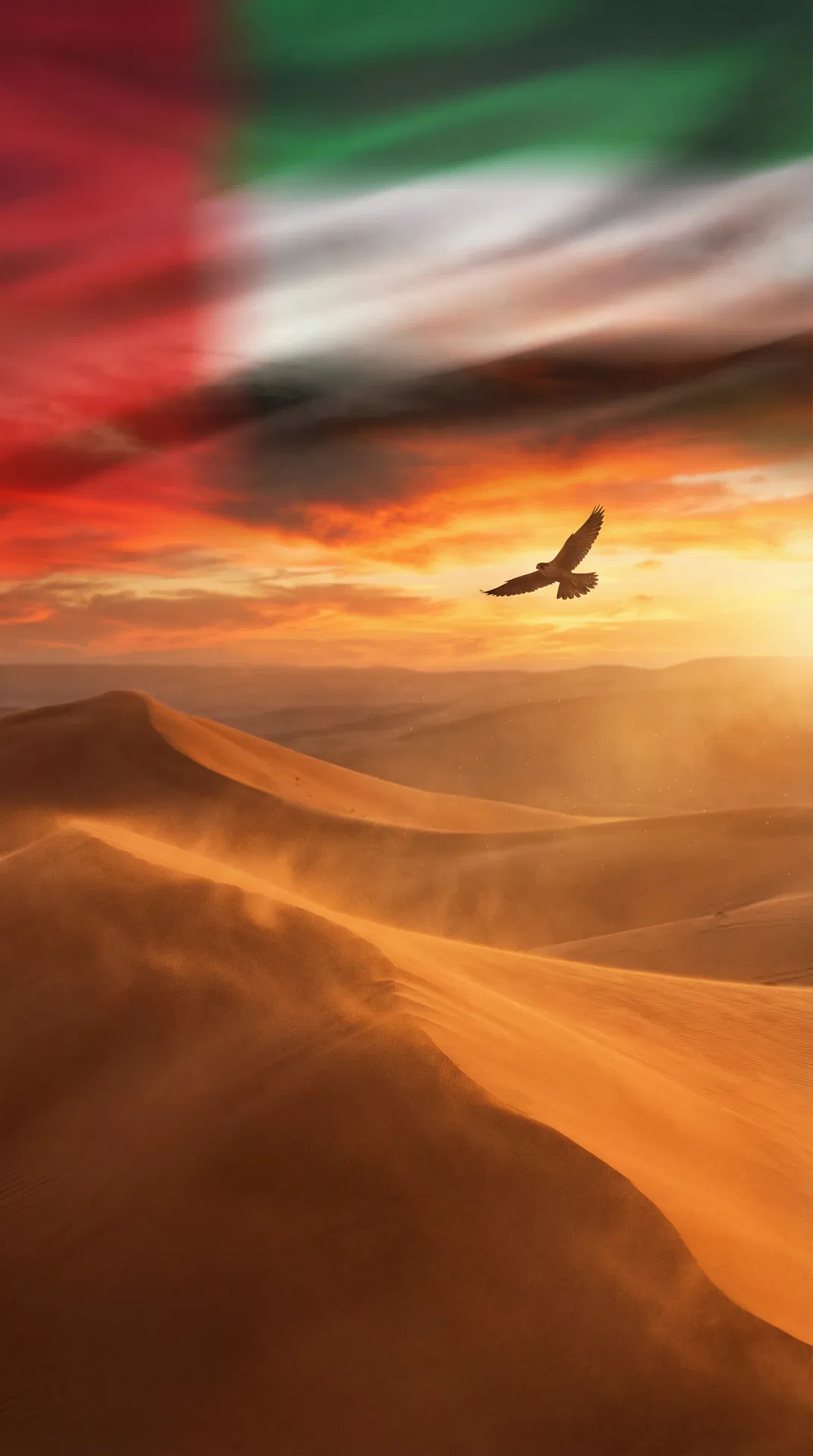 UAE desert landscape