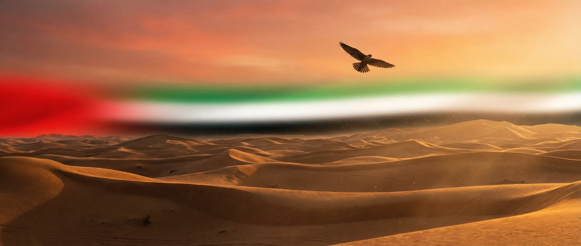 UAE desert landscape