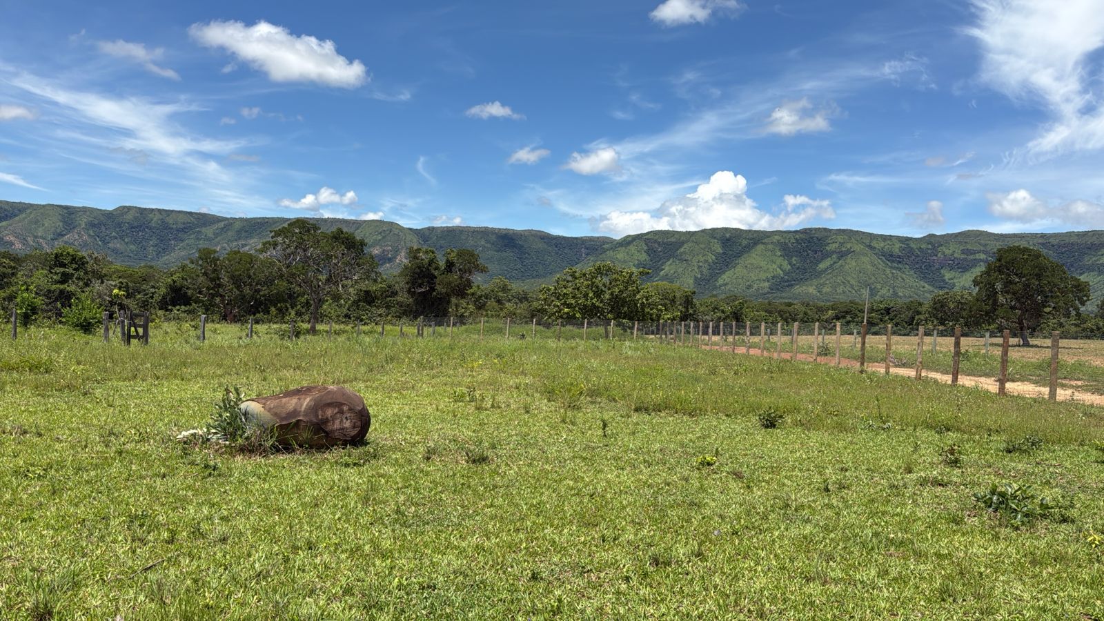 Fazenda em Flores de Goiás - GO