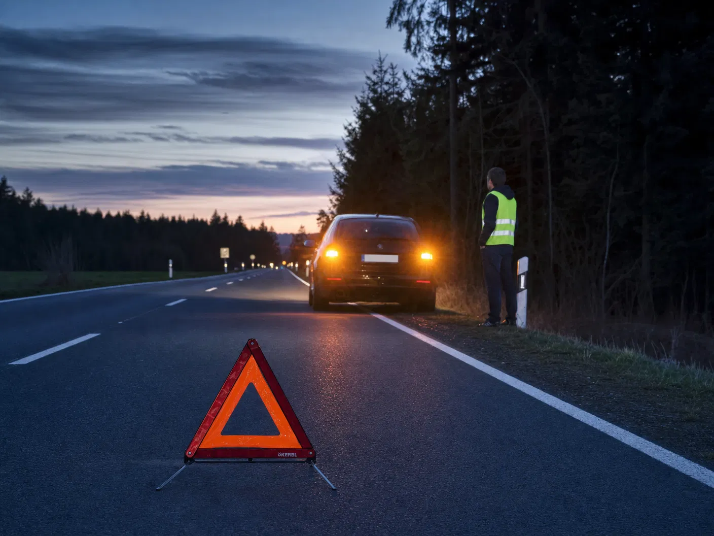 Warndreieck aufgestellt nach Wildunfall auf deutscher Landstraße bei Dämmerung