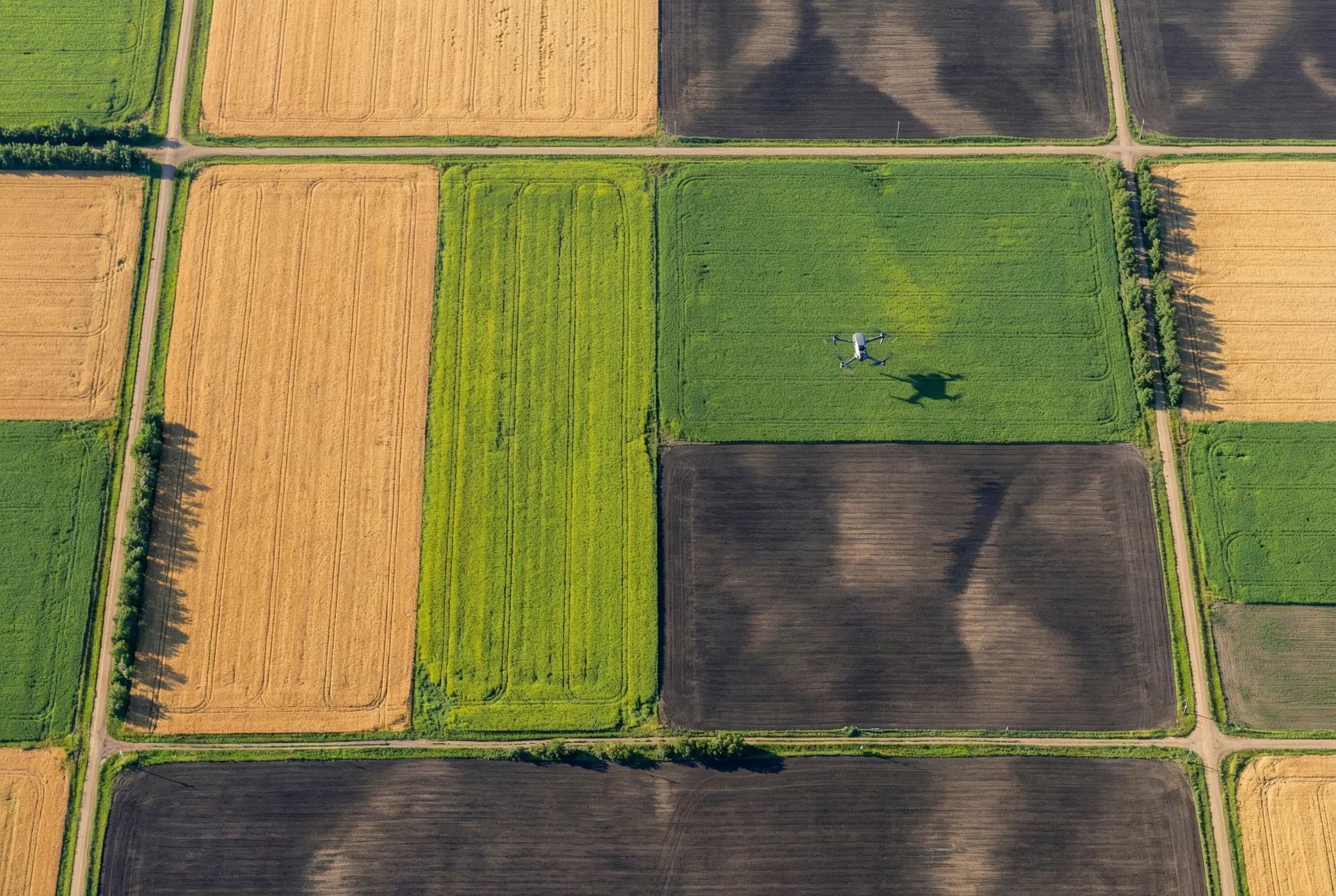 Alberta farm fields aerial view