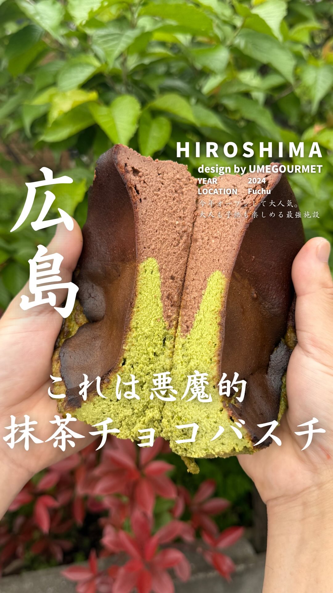 しゃらの樹