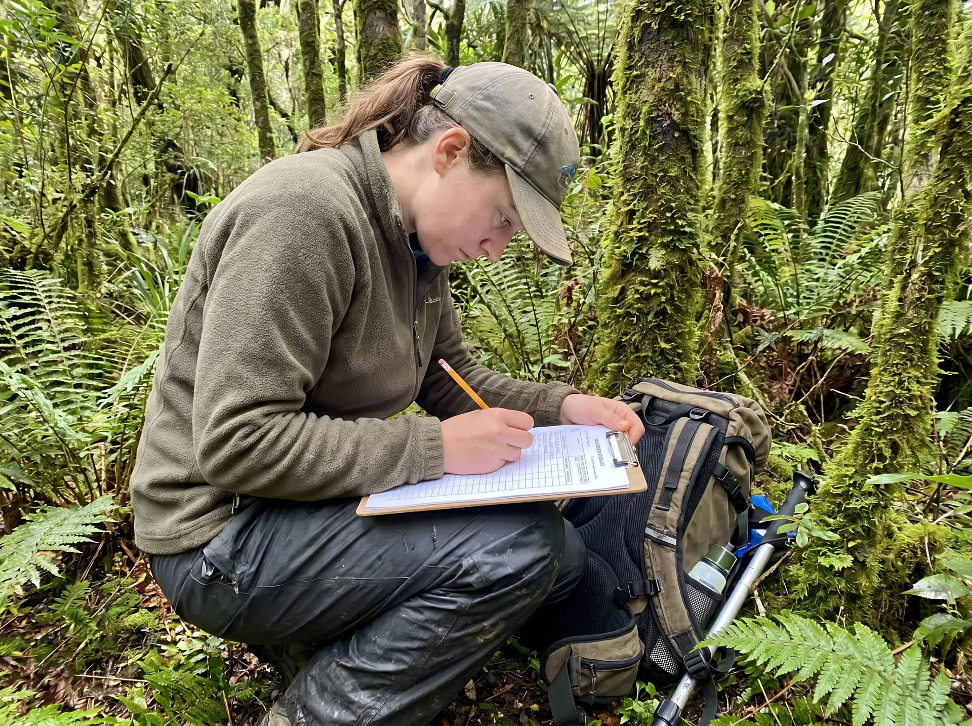 Field researcher recording data in native bush