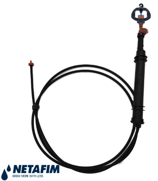 Pulsar + Gyronet SR 25 / AD15 450 50cm au-dessus. 6 m