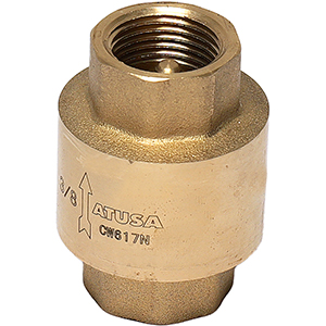 CLAPET DE RETENU AVEC RESSORT 4”
