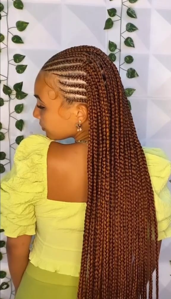 Fulani Braids - 1
