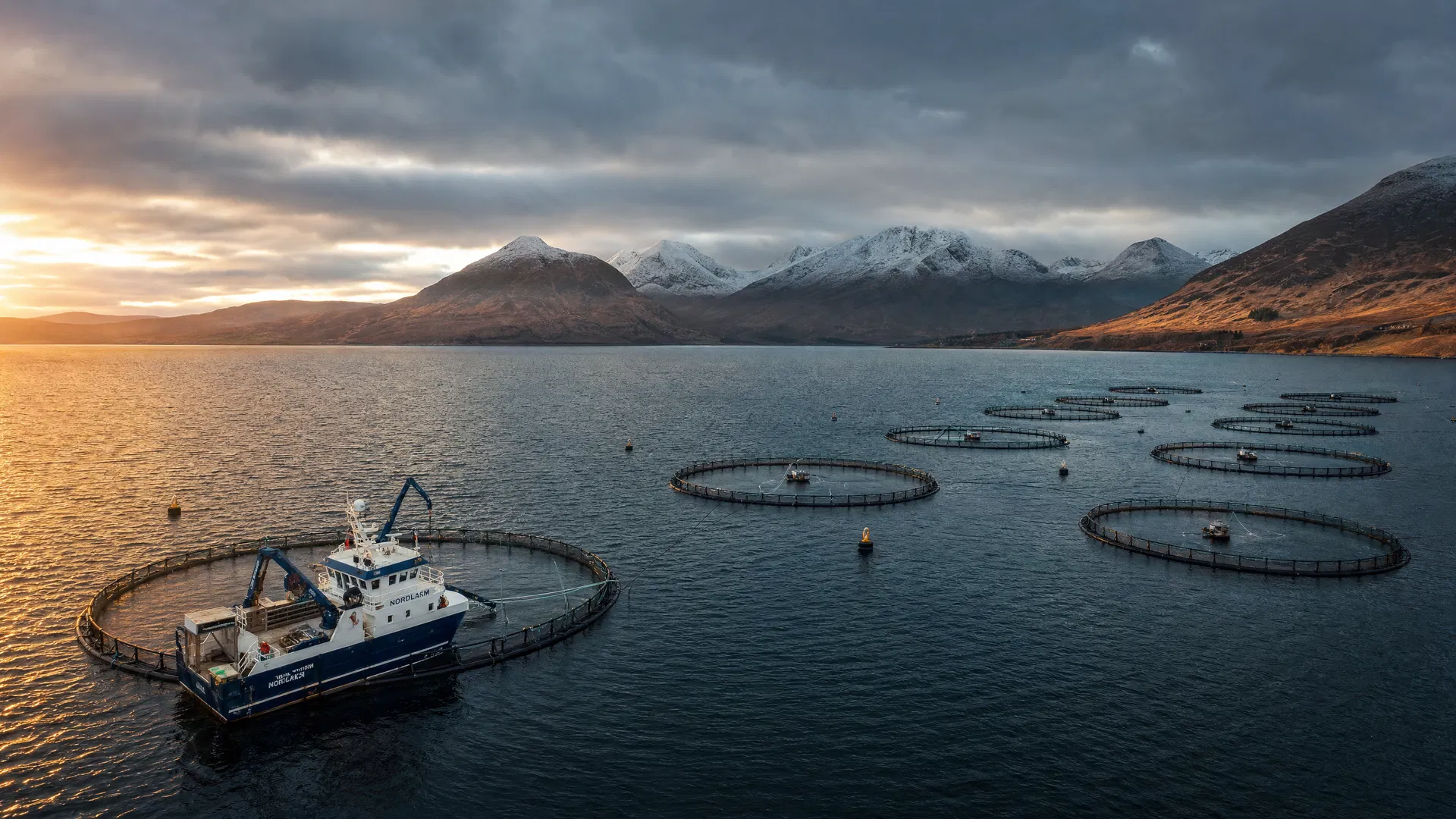 Scottish Sea Farms