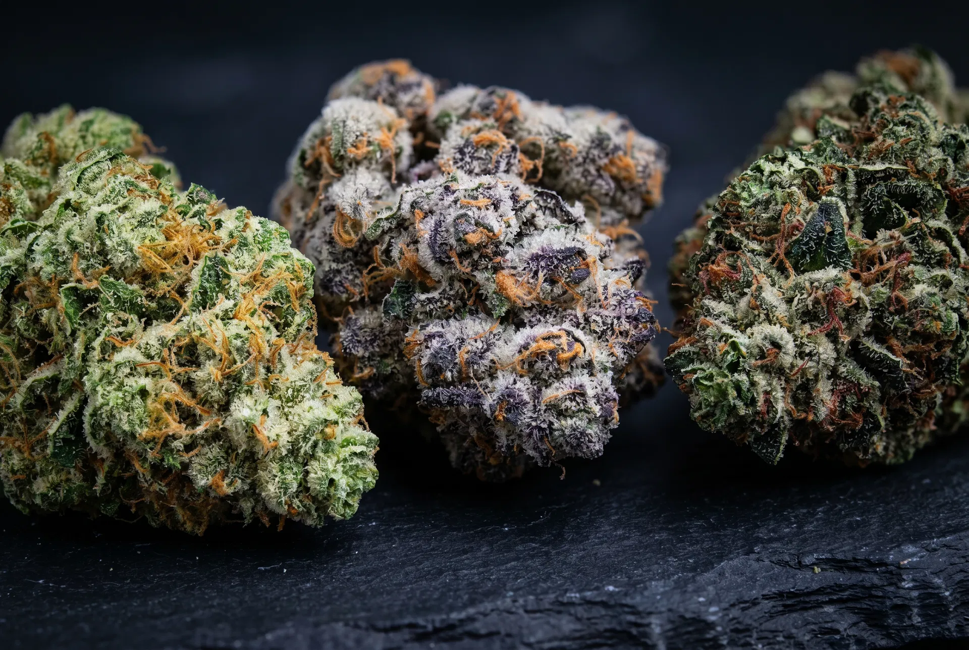 Top Cannabis Strains to Try This Season in Ottawa