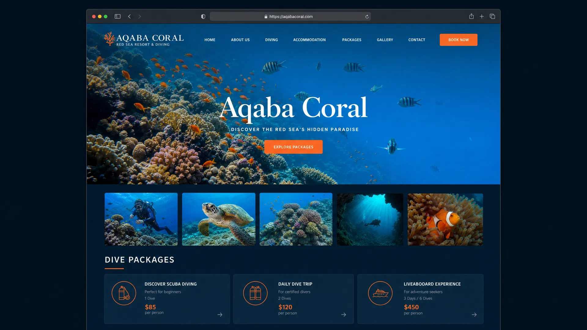 Aqaba Coral