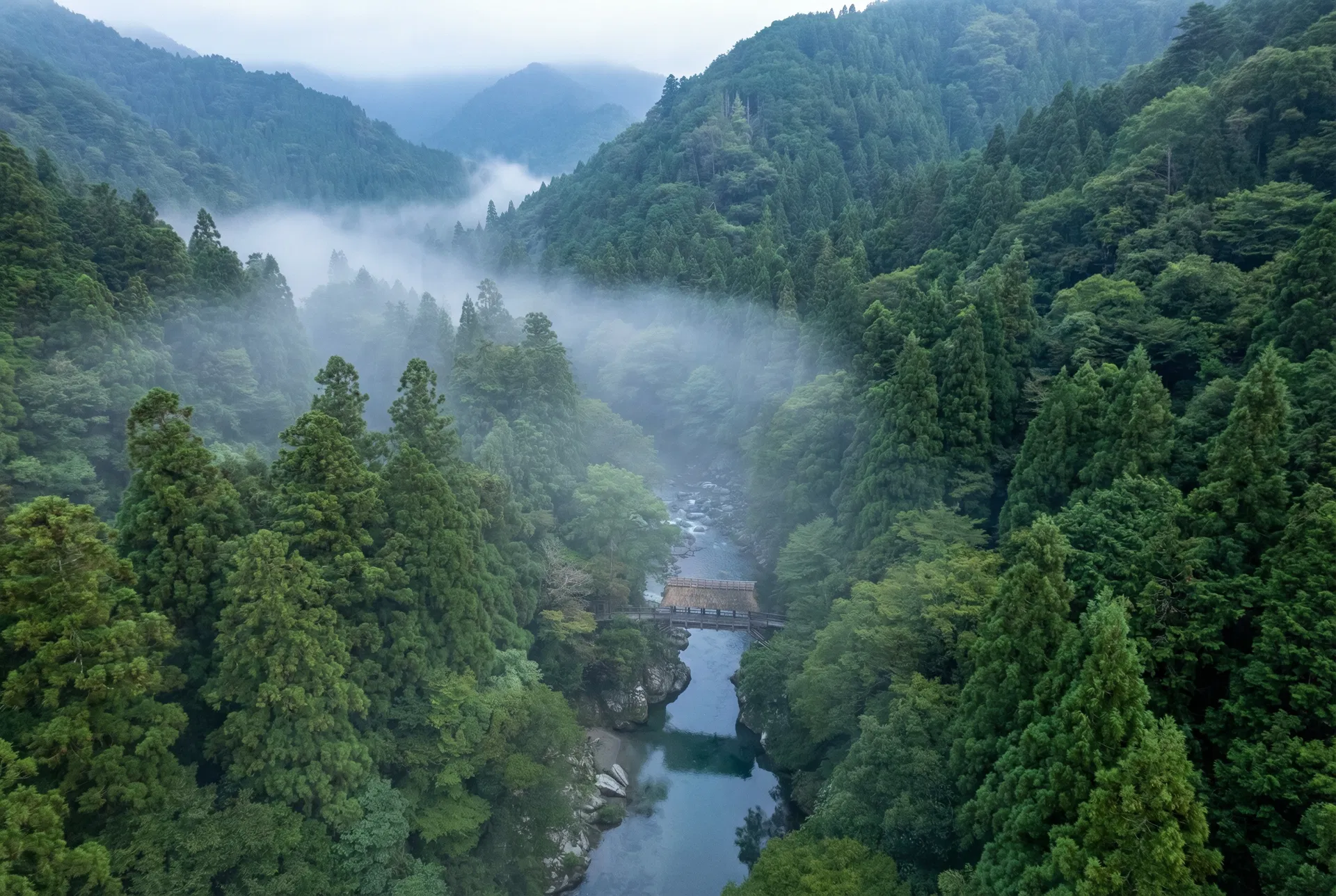 Pristine Japanese mountain forest with morning mist rising from a river valley