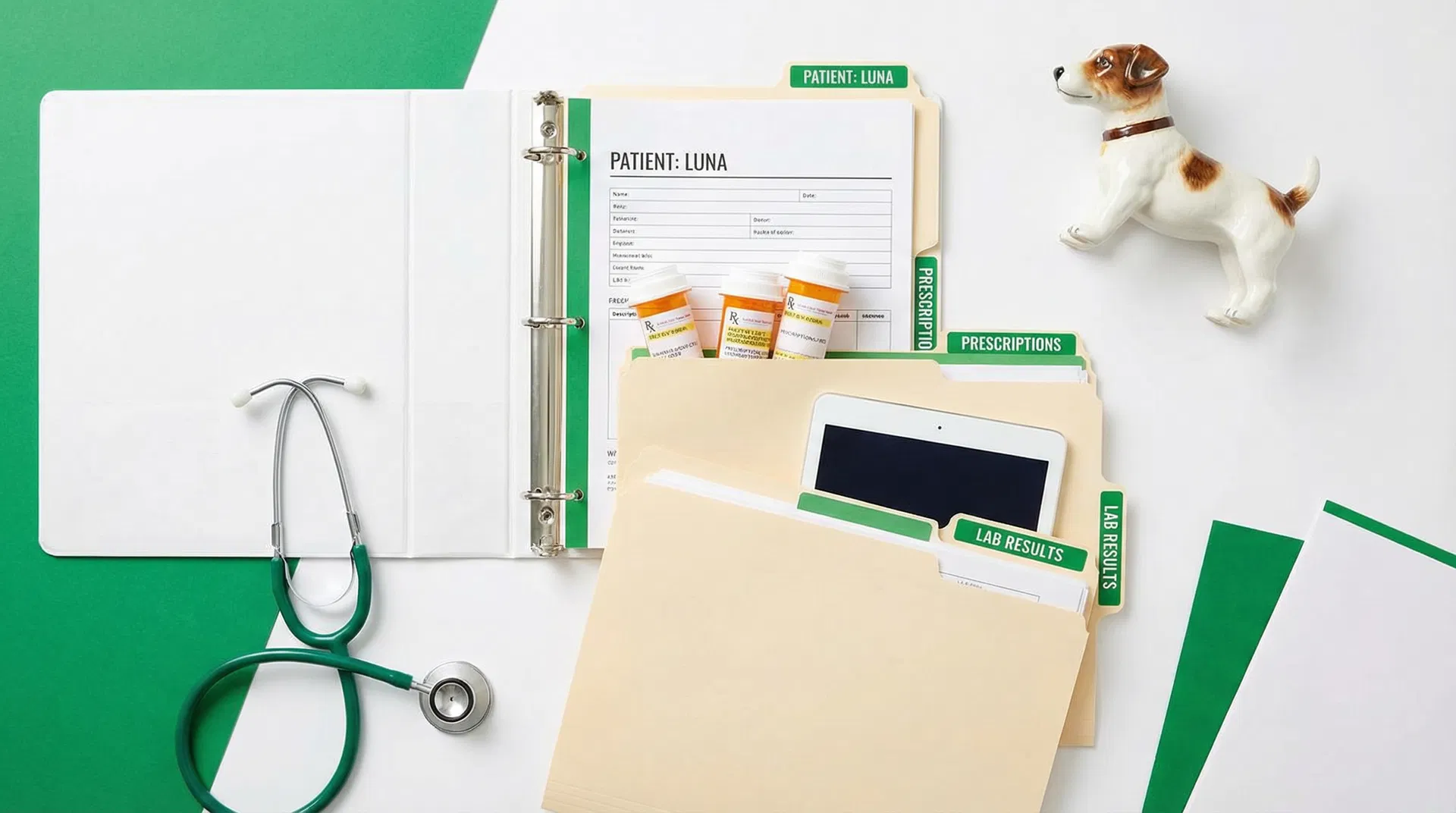 Comment organiser les ordonnances vétérinaires de son animal ?