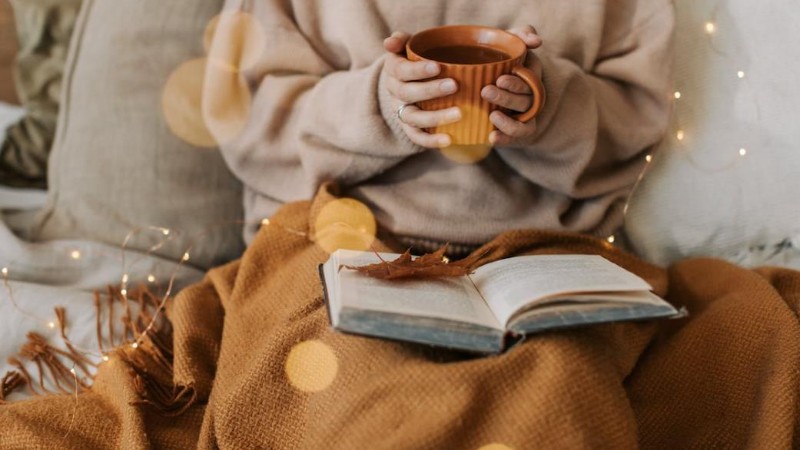如何利用居家装饰在这个冬天保持温暖？
