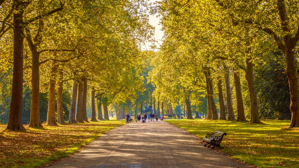 伦敦最美公园盘点,一年的春光夏日秋景都在这里!