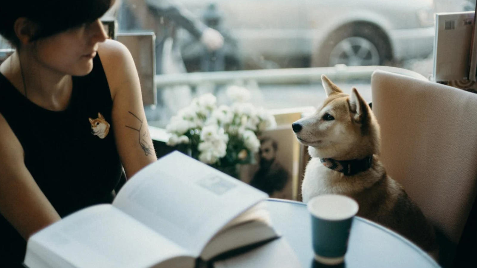 伦敦2家宠物友好餐厅推荐:带上毛孩子一起享受美食时光