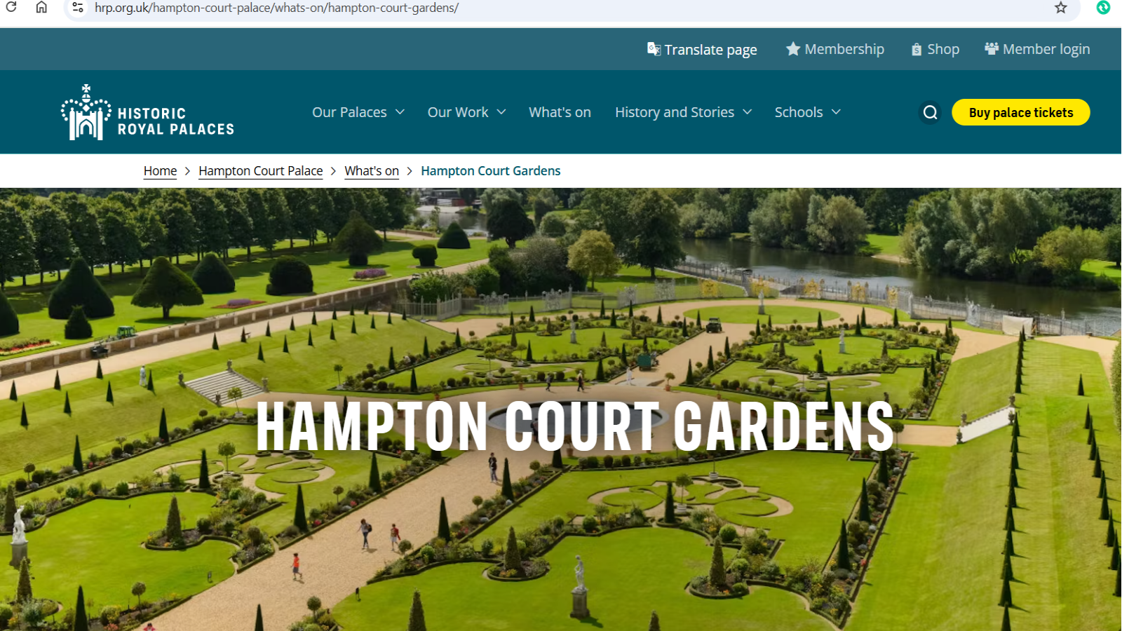 年底限定：Hampton Court 宫殿花园免费开放攻略