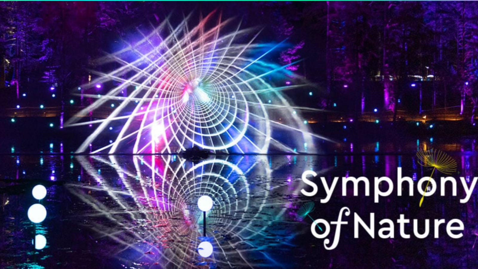 The Enchanted Forest 2024 